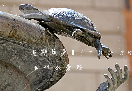 逾期核身轉(zhuǎn)案(逾期核身專案是什么意思)