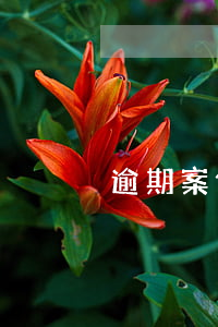 逾期案件會被起訴嗎(逾期還款會被起訴嗎)