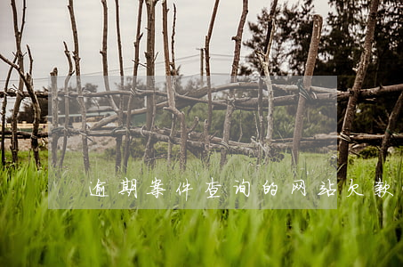 逾期案件查询的网站(欠款逾期查询)