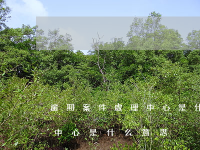 逾期案件處理中心是什么意思(逾期案件處理中心是什么意思)