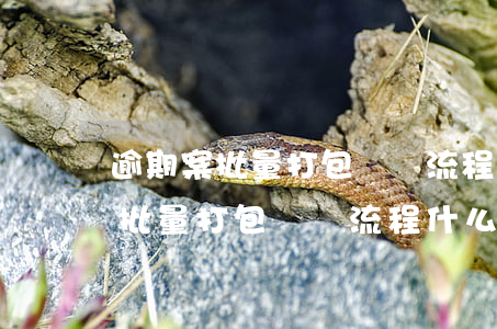 逾期案批量打包訴訟流程什么意思-逾期案批量打包訴訟流程什么意思啊