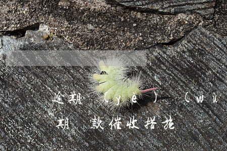 逾期業(yè)務(wù)催收還款方式(逾期貸款催收措施)