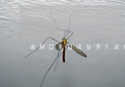 逾期檔案會保留多久（逾期起訴的檔案袋）