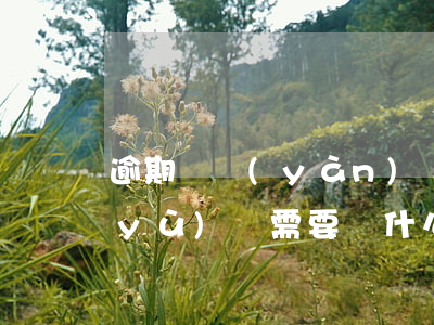 逾期檢驗(yàn)網(wǎng)上預(yù)約需要帶什么材料-逾期檢驗(yàn)網(wǎng)上預(yù)約需要帶什么材料去
