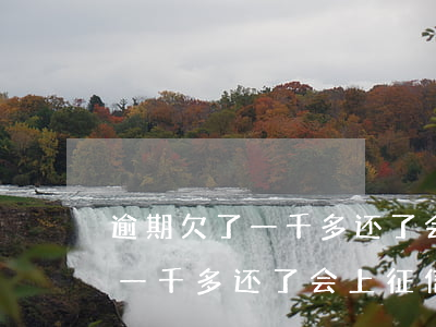 逾期欠了一千多还了会上征信吗-逾期欠了一千多还了会上征信吗知乎