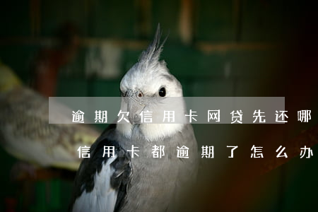 逾期欠信用卡网贷先还哪个(欠了好多网贷和信用卡都逾期了怎么办?)