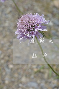 逾期欠多少钱才会被法院起诉(欠多少钱能被起诉)