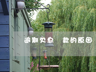 逾期欠息貸款的原因(貸款欠息算逾期嗎)