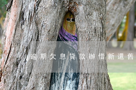 逾期欠息貸款辦借新還舊(借新貸還舊貸)