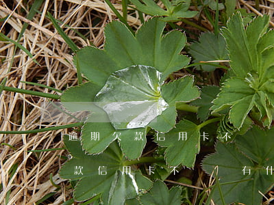 逾期欠款信用卡不還會有什么后果-逾期欠款信用卡不還會有什么后果嗎