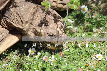 逾期欠款 信用卡沒錢還怎么辦(逾期未還信用卡怎么辦)