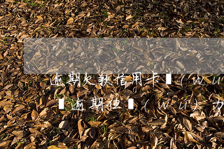 逾期欠款 信用卡無(wú)力償還(信用卡還沒逾期,但無(wú)力還款)