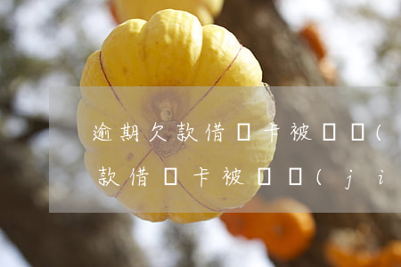 逾期欠款借記卡被凍結(jié)了(逾期欠款借記卡被凍結(jié)了還能用嗎)