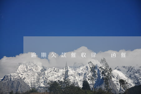 逾期欠款催收律師函(催討欠款律師函)
