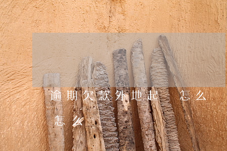 逾期欠款外地起訴怎么辦(逾期欠款外地起訴怎么辦)