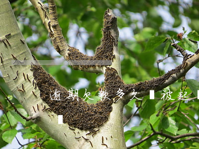 逾期欠款多久會被起訴(欠賬逾期多久可以起訴)