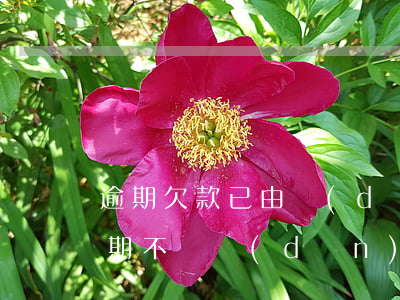 逾期欠款已由擔(dān)保人還款(借款逾期不還擔(dān)保人需承擔(dān)責(zé)任嗎)