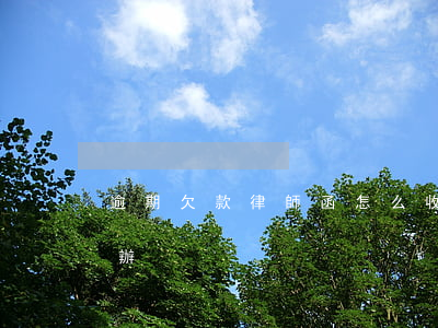 逾期欠款律師函怎么收(逾期收到律師函 怎么辦)