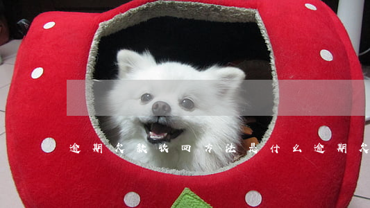逾期欠款收回方法是什么（逾期欠款收回方法）