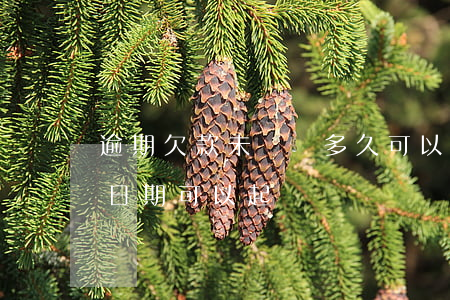 逾期欠款未歸還多久可以起訴 欠款沒到還款日期可以起訴嗎