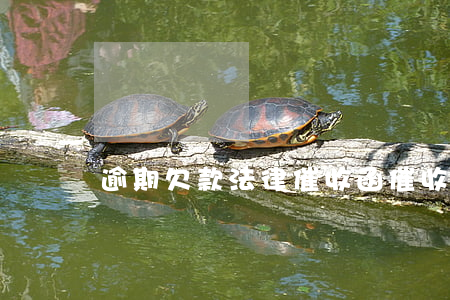 逾期欠款法律催收函(催收欠款的律師函怎么寫)
