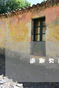 逾期欠款法院起訴(欠款逾期立案)