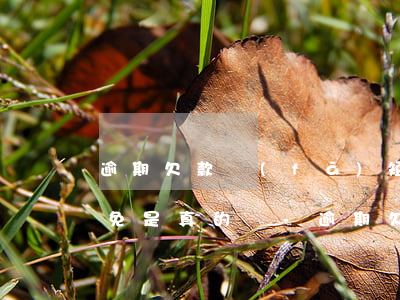 逾期欠款發(fā)短信說(shuō)減免是真的嗎-逾期欠款發(fā)短信說(shuō)減免是真的嗎嗎