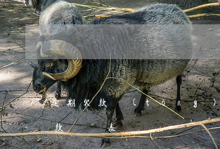 逾期欠款統(tǒng)計(jì)表-欠款記錄表