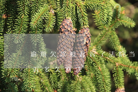 逾期欠款被起诉了法院当场判吗-逾期被起诉多久判决