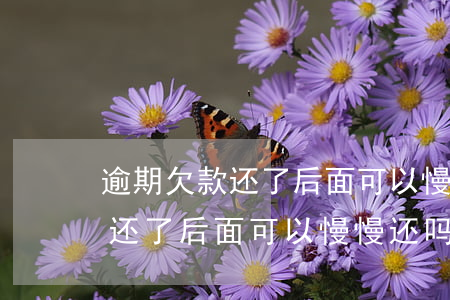 逾期欠款还了后面可以慢慢还吗-逾期欠款还了后面可以慢慢还吗怎么办