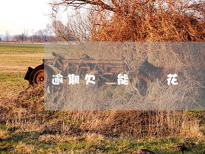 逾期欠費能關閉花唄嗎(逾期欠費能關閉花唄嗎)