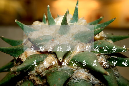 逾期次数过多影响公务员政审吗-逾期次数过多影响公务员政审吗知乎