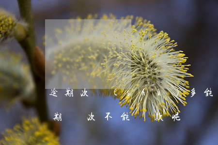 逾期次數(shù)多能信用貸款嗎(一般逾期幾次不能貸款呢)