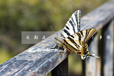 逾期次數(shù)多能貸款買房嗎(多少次逾期不能房貸)
