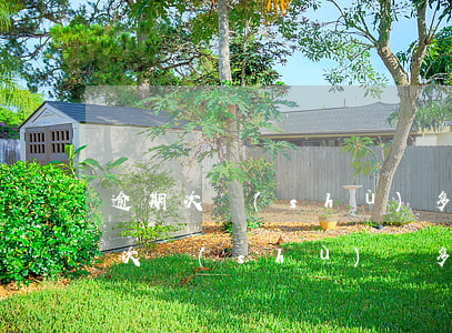 逾期次數(shù)多能辦貸款嗎(征信逾期次數(shù)過多貸款審批不了怎么辦)