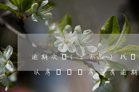 逾期次數(shù)找擔(dān)保人可以房貸嗎(買房子有逾期找個擔(dān)保人可以貸款嗎)