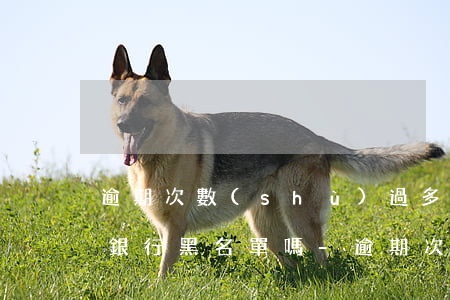 逾期次數(shù)過多會進(jìn)入銀行黑名單嗎-逾期次數(shù)過多會進(jìn)入銀行黑名單嗎知乎