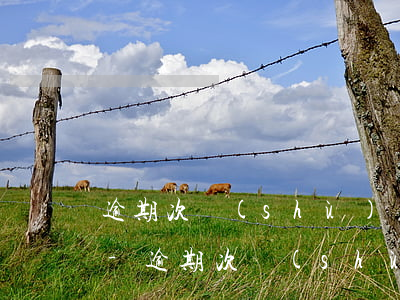 逾期次數(shù)過多申請不了賬單分期-逾期次數(shù)過多申請不了賬單分期怎么辦