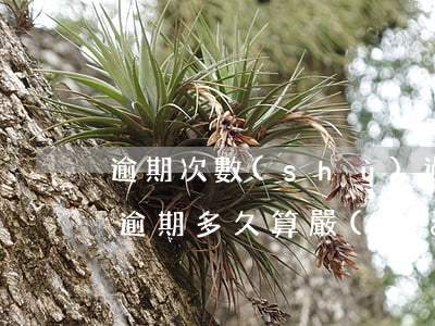 逾期次數(shù)過多的小額貸款(小額貸逾期多久算嚴(yán)重逾期)