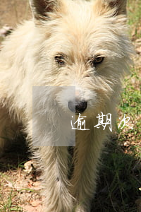 逾期次日什么意思-逾期期次是什么意思
