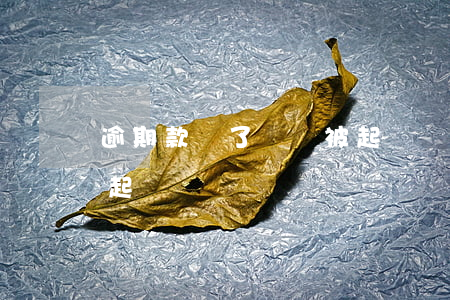 逾期款還了還會被起訴嗎(貸款逾期不還會被起訴嗎)