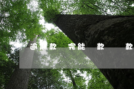 逾期款還完能貸款嗎(貸款有過逾期還能貸款嗎)