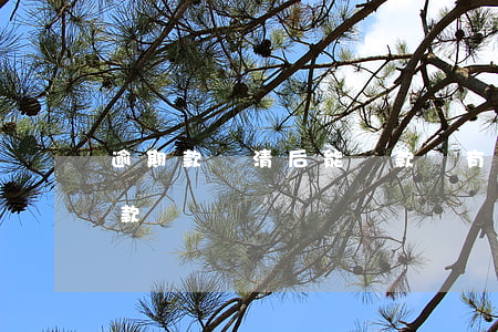 逾期款還清后能貸款嗎(有逾期還清了還能貸款嗎)