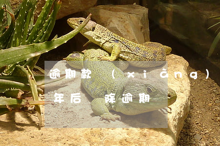 逾期款項(xiàng)結(jié)清五年后刪除逾期記錄
