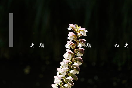 逾期歸還了(逾期歸還和逾期未還)