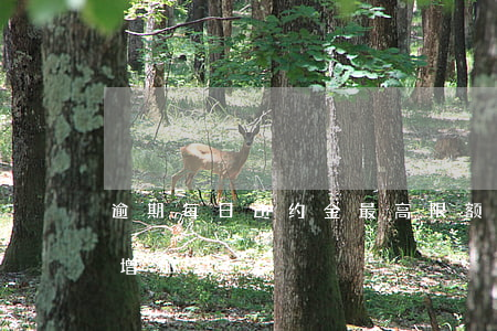 逾期每日违约金最高限额 逾期后违约金每天增加