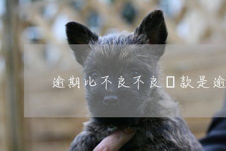 逾期比不良(不良貸款是逾期多少天)
