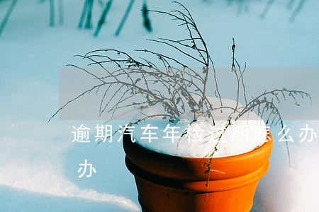 逾期汽车年检过期怎么办 车逾期年检了怎么办