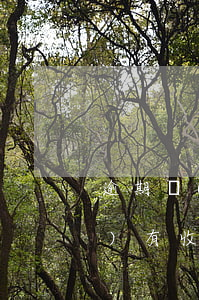 逾期沒(méi)收到法院傳票 沒(méi)有收到法院傳票