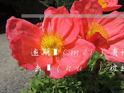 逾期沒(méi)有停息再還進(jìn)去會(huì)被起訴嗎 逾期后起訴,還有什么后果